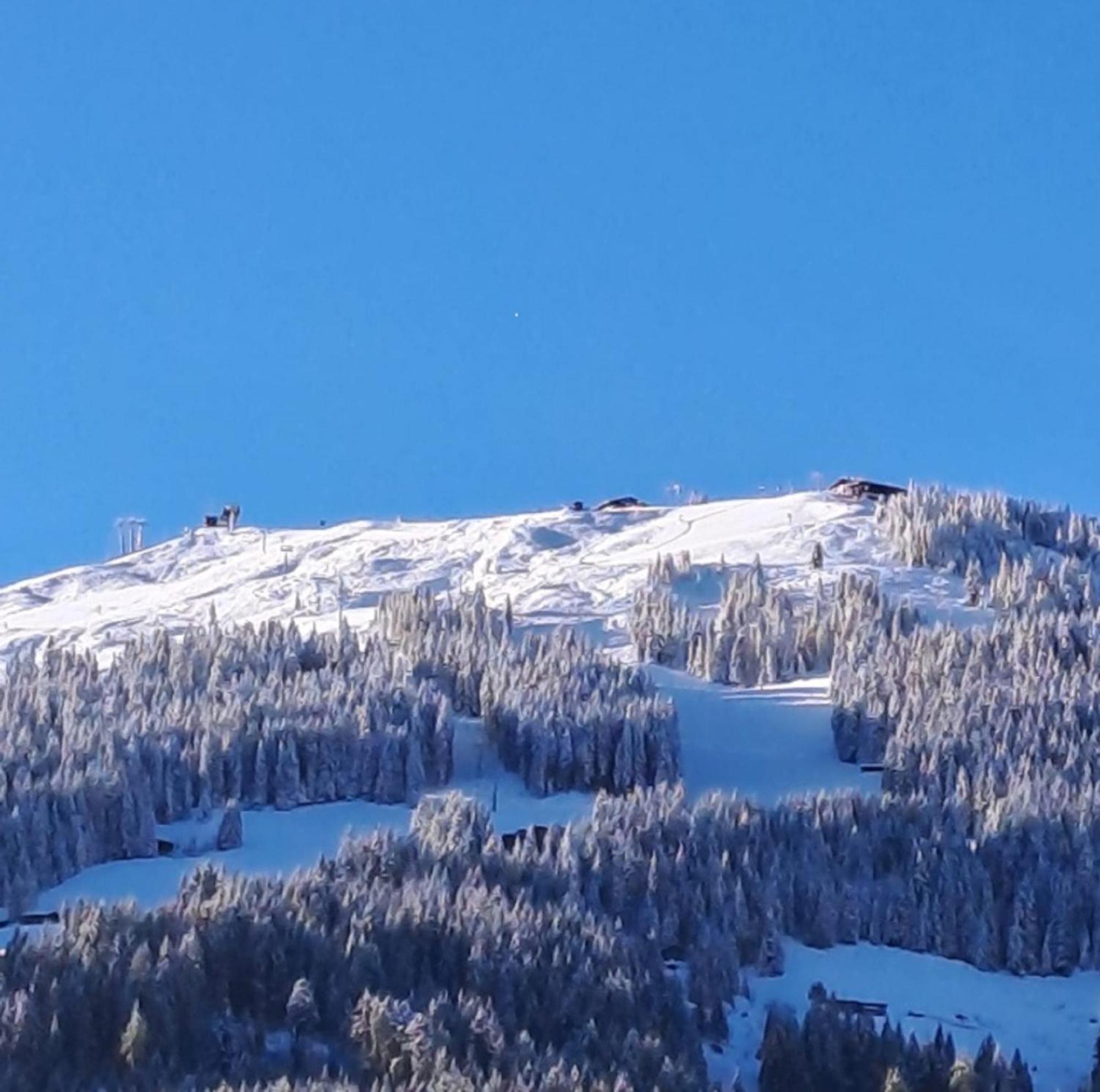 Apartamento Haus Raimund " Klein Aber Fein " Alpbach Exterior foto